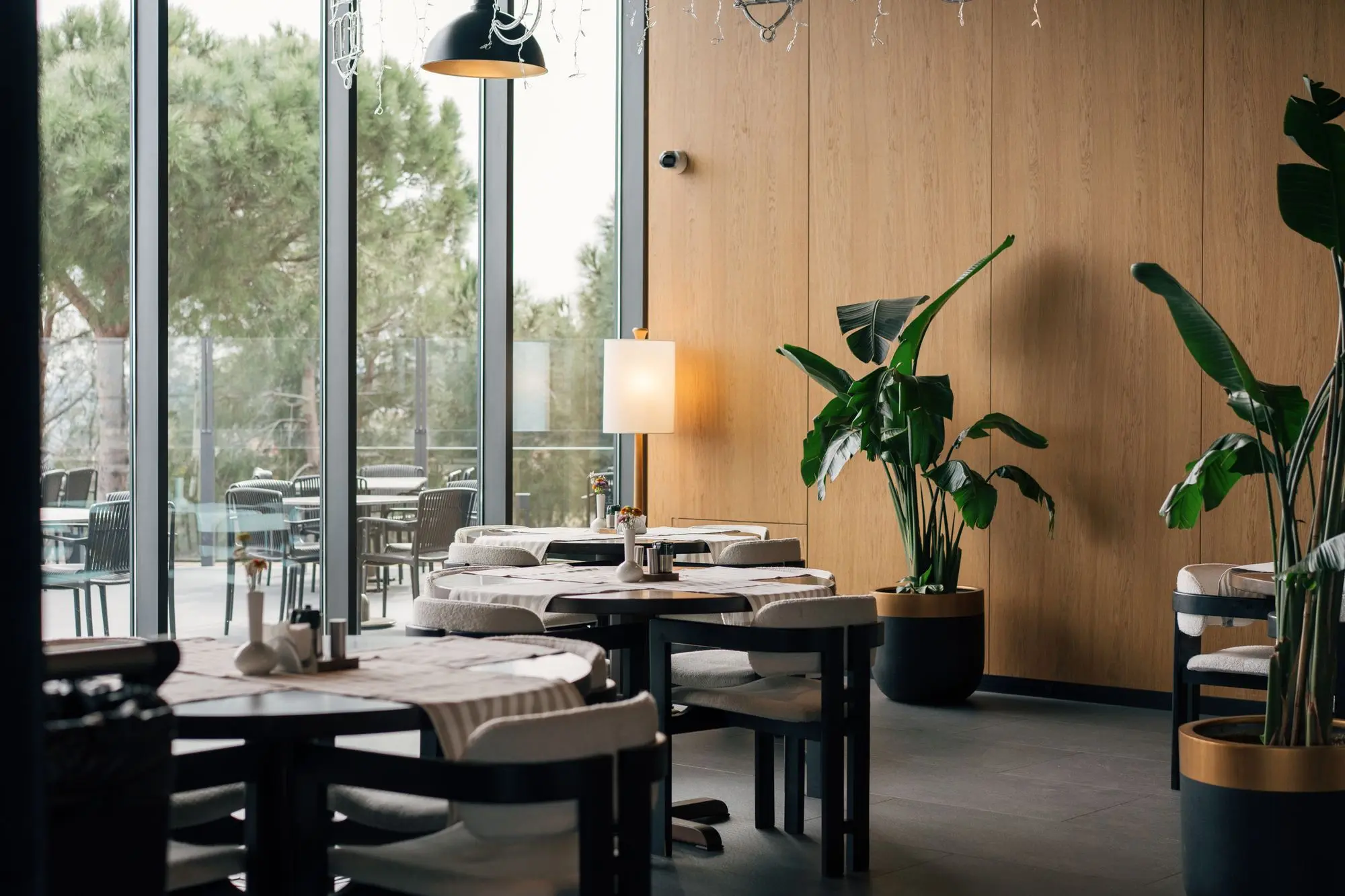 Restaurant aménagé de manière professionnelle